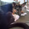 Amber Mcgrath - @amber.mcgrath1 - TikTok