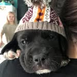 Amber McHenry - @amberlin0511 - Instagram