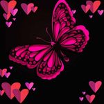 Amber McInturff - @amber051livecom - Instagram