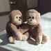 Mr and Mrs Travel Monkey Fey - Facebook