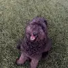 Amber McLain - @justfloofit - TikTok