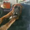 ambermclennan798 - @ambermclennan798 - TikTok