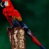 Amber McLeod - @2184819372 - TikTok