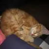 Amber McLeod - @ambermcleod6 - TikTok