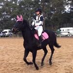 Amber McManus🌸 - @longfield.spencer.eventing - Instagram