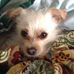 Amber Mcquiston - Facebook