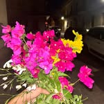 Amber Mcwhorter - @drvidsideqi3 - Instagram