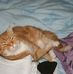 Amber Meakin - Facebook