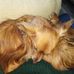 Amber Meakin - Facebook
