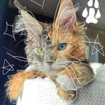 Amber Mills - Facebook