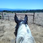 Amber Leigh Melby - @djamberleigh - Instagram