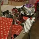 Amber Melson - @patches01402024 - Instagram