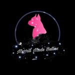 Amber Merrill - @merrillmadebullies - Instagram
