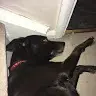Amber Merry - @ambermerry8 - TikTok