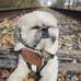 Amber Messick - Facebook