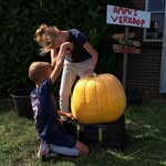 Amber&Milan - @verkoop_planten_groente_fruit - Instagram