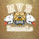 Amber minton - @m.v.b_kennels - Instagram