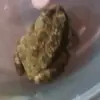 amberpmonaghan - @amber_4847 - TikTok