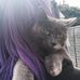 Amber Mortimer-Brown - Facebook