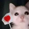 amberlynmullins - @aamberlynmullinss - TikTok