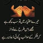 Amber Naeem - @ambernaeem7048 - Instagram