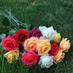 Amber Naeem - @ambreen_asad1 - Instagram