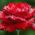 Amber Naeem - @naeem.amber - Instagram