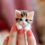 Amber Naeem - @ambernaeem143 - Instagram