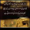 Amber Naeem - @amber.naeem6 - TikTok