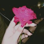 Mano - @amber_naveed54 - Instagram