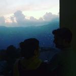 Amber Naveed - @amber.naved6 - Instagram