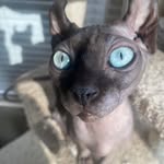Amber Nolasco - @ambernolasco6 - Instagram