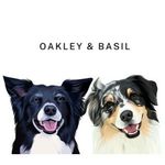 amber, oakley + basil | dog-friendly adventures & training tips - @ambersaussies - Instagram