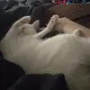 amberolivas78 - @amberolivas78 - TikTok