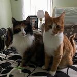 Amber & Olive - @amber__olive - Instagram