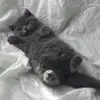 amberolszewski2 - @amberolszewski2 - TikTok