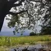 Amber Olvera - @amber.olvera1 - TikTok
