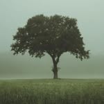 ambergatekeeper - @amberoriongatekeeper - Instagram