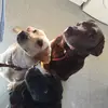 roxy_amber_oscar_3 - @roxy_amber_oscar_ - TikTok