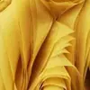 Amber Overbay - @amberoverbay604 - TikTok