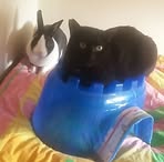 Amber Overton - Facebook