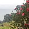 amberleigh packer - @amberleighpacker3 - TikTok