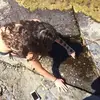 amber.packer - @amber.packer - TikTok