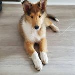 Amber Painter - @painter.amber - Instagram