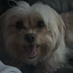 Amber Pangelinan - @ambs.csp - Instagram