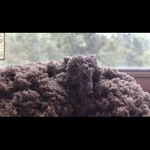 Sandlicious - @amberpelham123 - Instagram