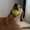 Amber - @amber.epointer - TikTok