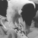 Amber Pointer - @amber.r29 - Instagram