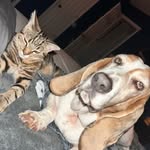 Amber Pointer - @_amber.pointer_ - Instagram