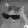 ⓌⒽⒶⓉ'Ⓢ_ⓊⓅ - @amberpolo1 - TikTok